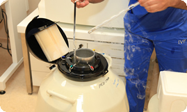 egg freezing