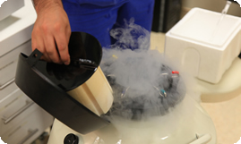 egg freezing