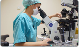 ivf