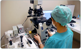 ivf