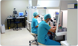 ivf